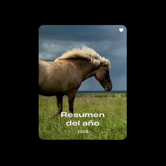 Foto de un caballo que muestra la colección Favoritos de la app Fotos