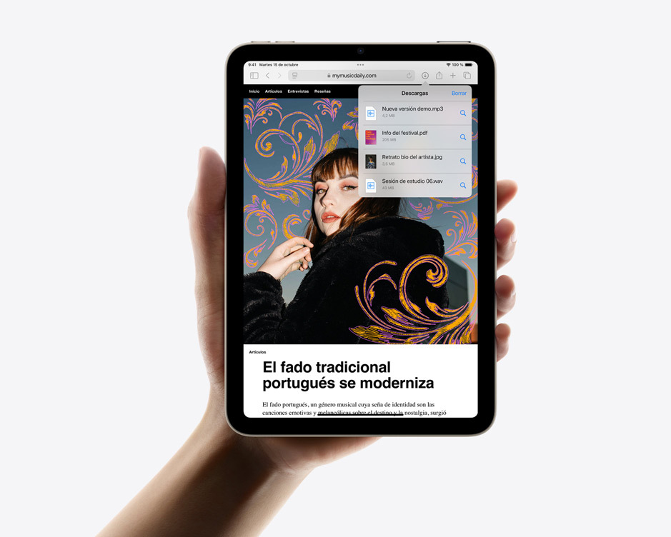 Una mano sujeta un iPad mini en vertical con las descargas de Safari en la pantalla.