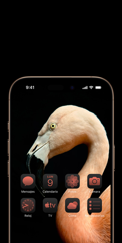 Pantalla de un iPhone 16 Pro con una foto dinámica de un flamenco rosa de perfil y widgets del mismo color.