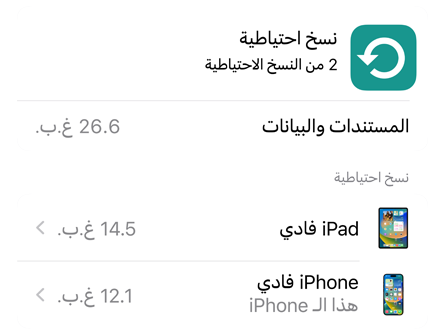 شاشة تعرض استخدام لبيانات النسخ الاحتياطي على iCloud‏